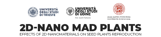 2D-NANO MAD PLANTS: Effects of 2D-nanomaterials on seed plants reproduction
