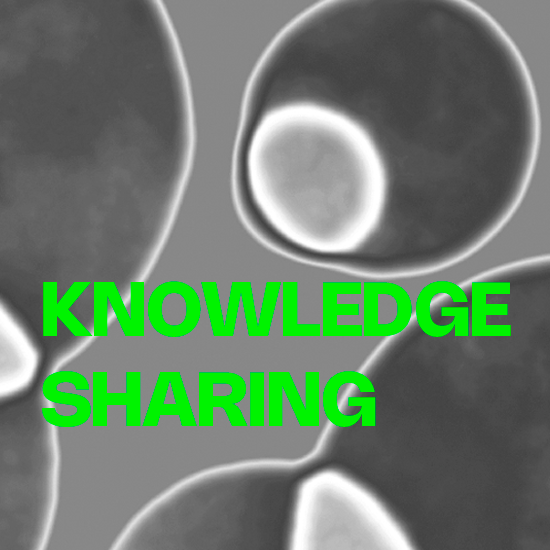 Knowledge Sharing