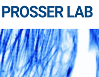 Prosser lab