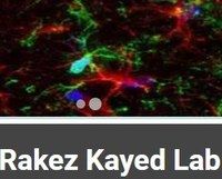Rakez Kayed Lab