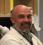 Giulio Agnetti, PhD
