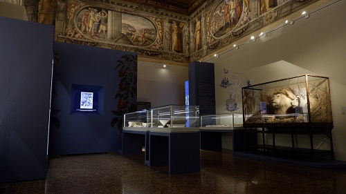 Layout of the Sala di Davide