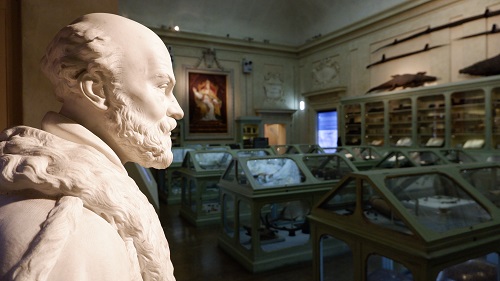 The Ulisse Aldrovandi's Museum