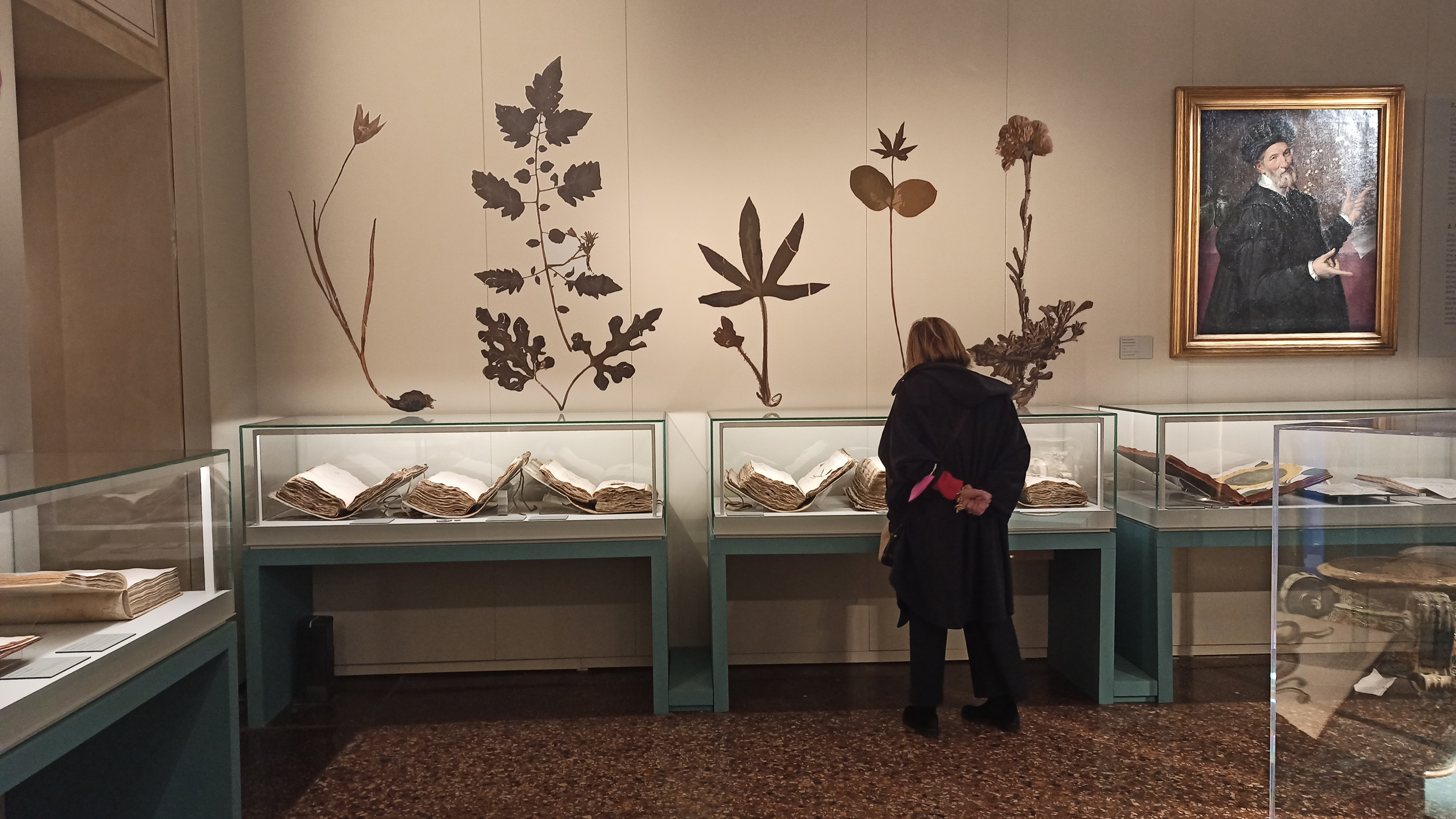 Sala di mostra dedicata al tema "La natura dal vero"