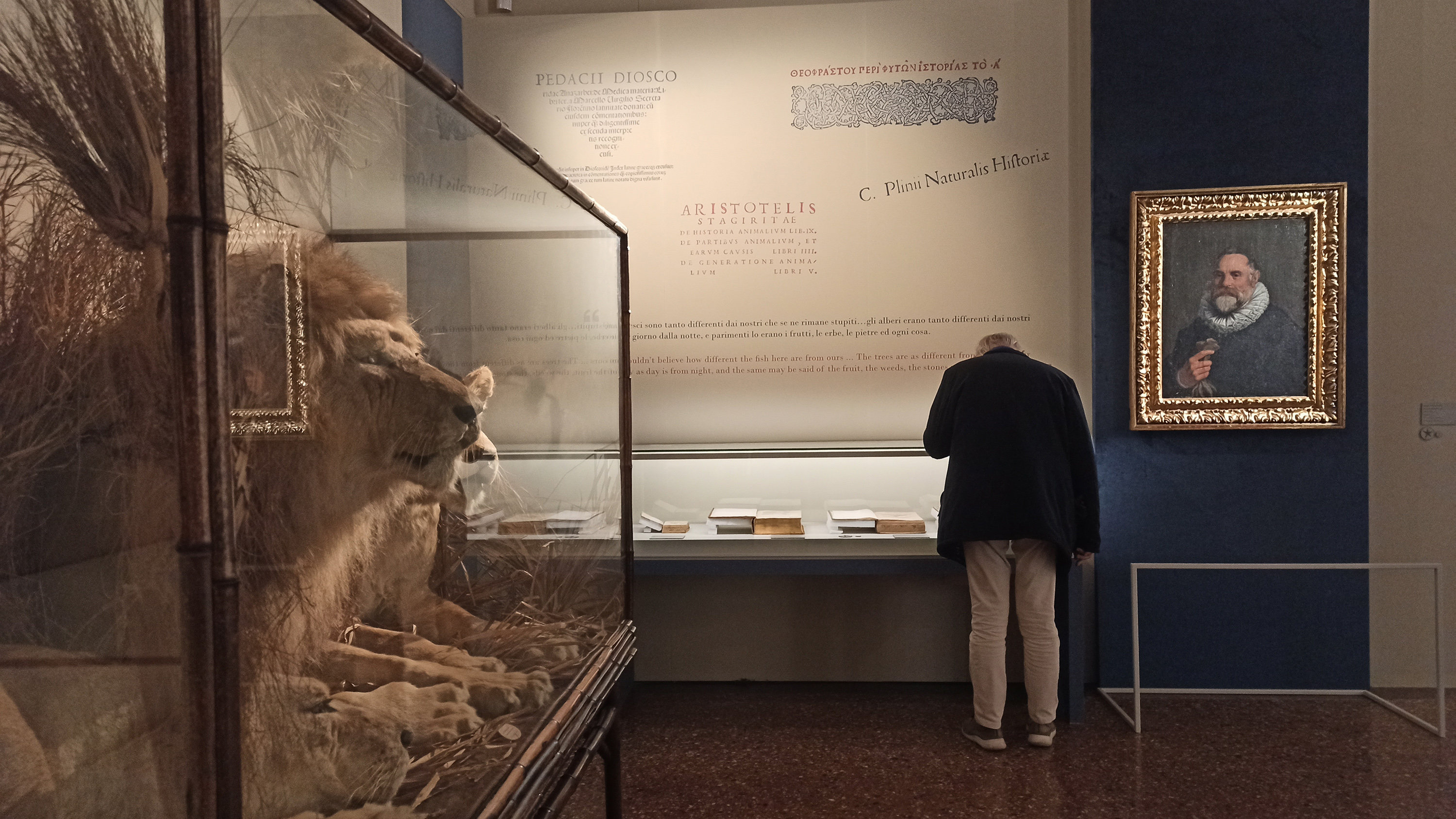 Sala di mostra dedicata al tema "La novità del Nuovo Mondo"