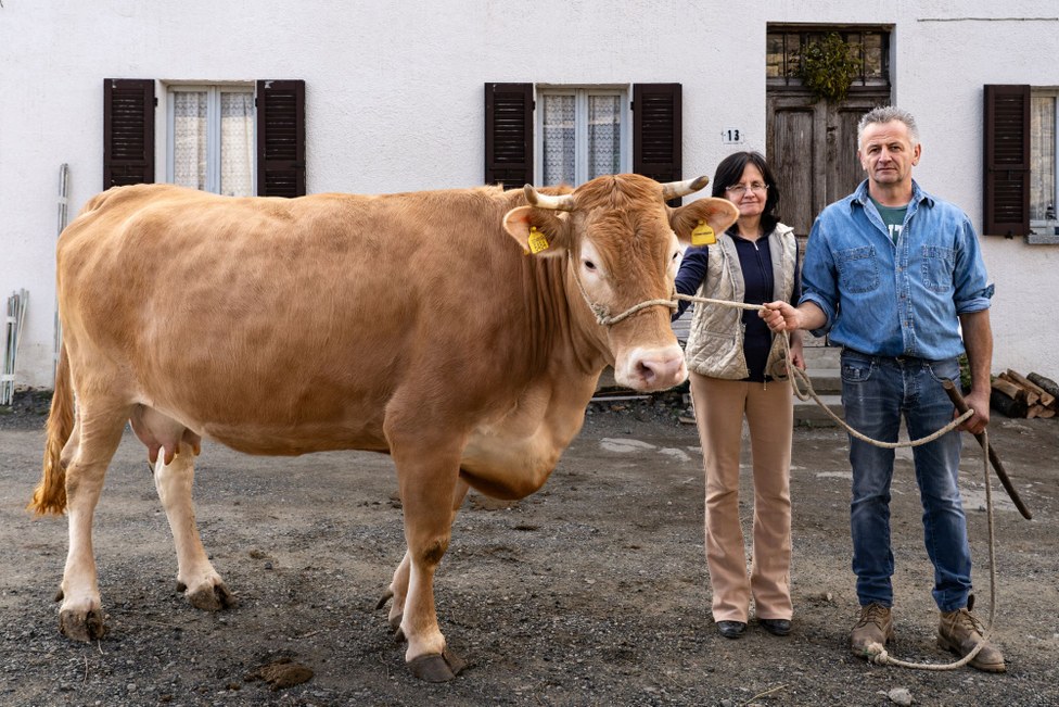 Guardian Breeder: Maria e Giorgio Delmolino