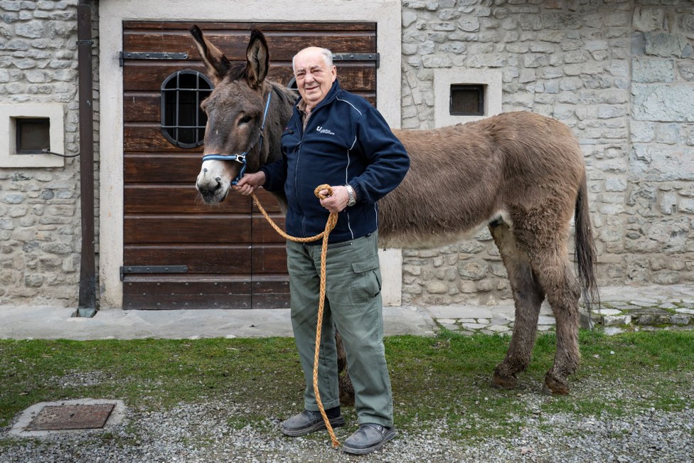 Guardian Breeder: Giuseppe Borghi