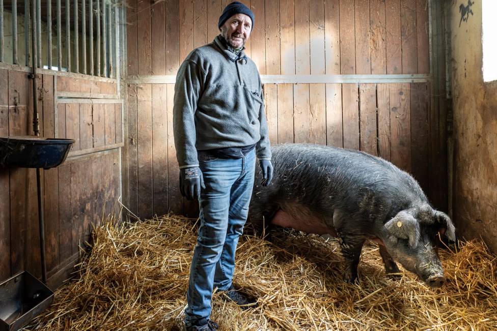 Guardian Breeder: Giorgio Bonacini