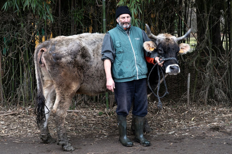 Guardian Breeder: Stefano Ghidoni