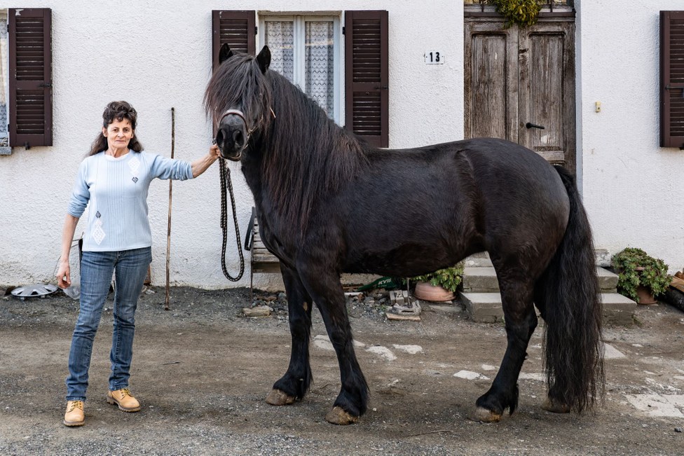 Guardian Breeder: Pierina Delmolino