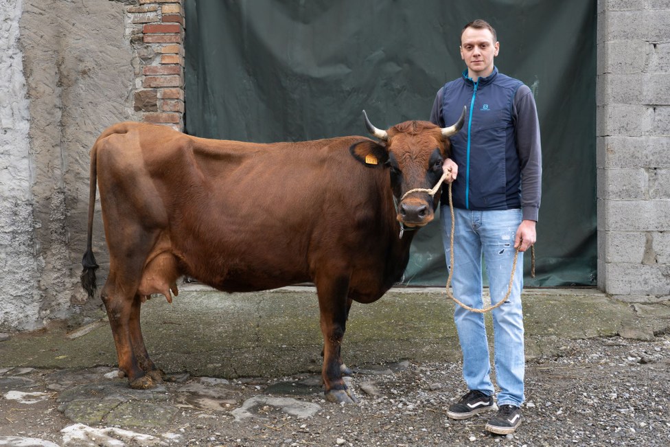 Guardian Breeder: Matteo Baratta