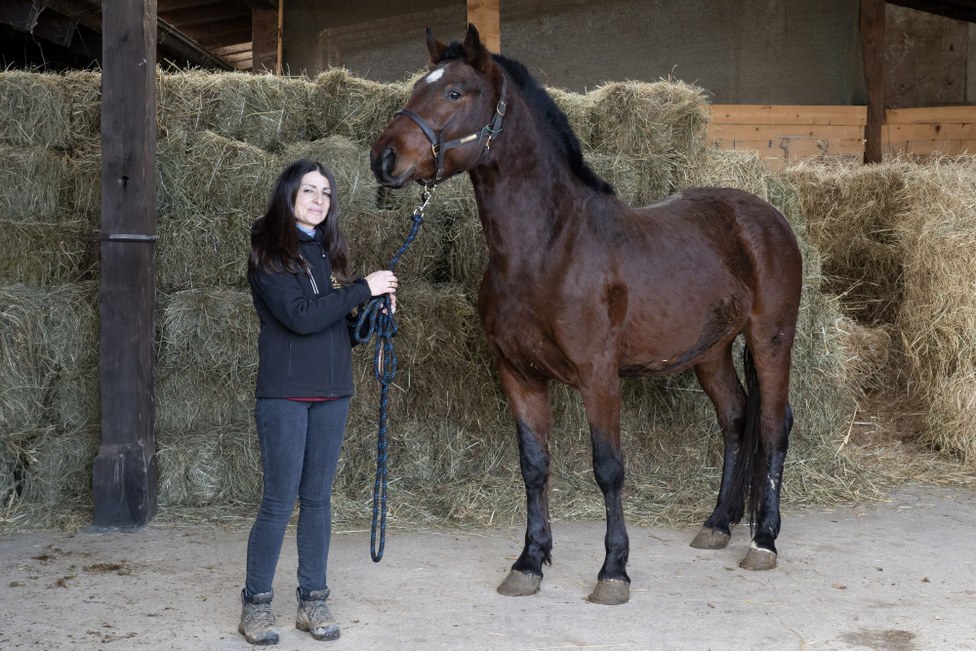 Guardian Breeder: Cristina Sironi