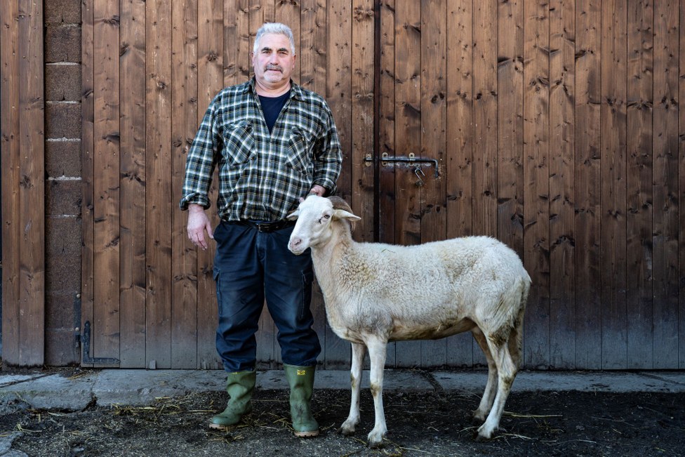 Guardian Breeder: Carlo Gabrini