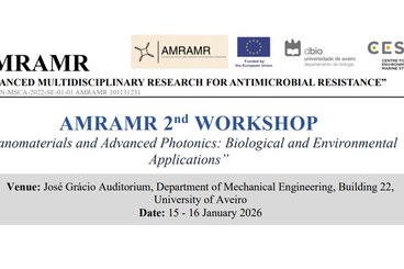 Aveiro Workshop Program