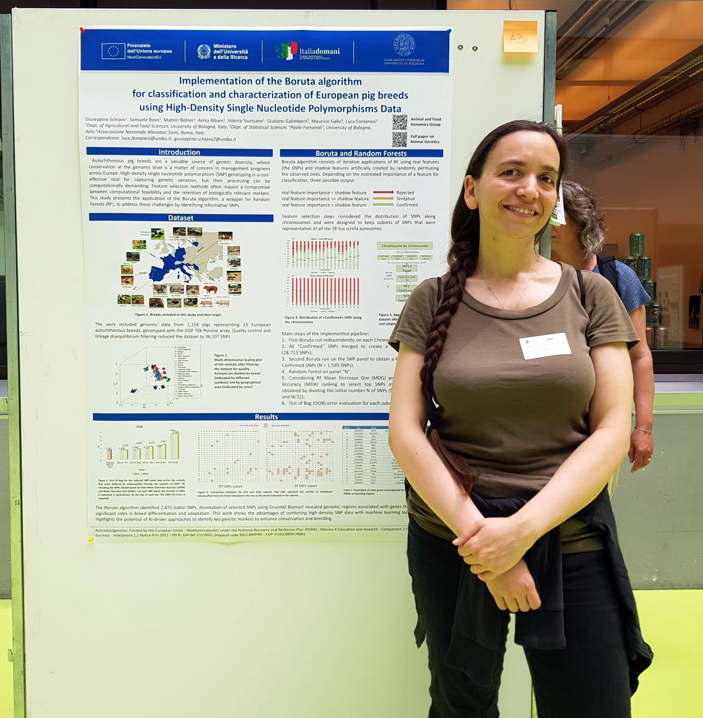 Poster Schiavo