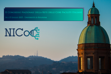 Panorama di Bologna (colli e chiesa) con banner congresso e logo NICo