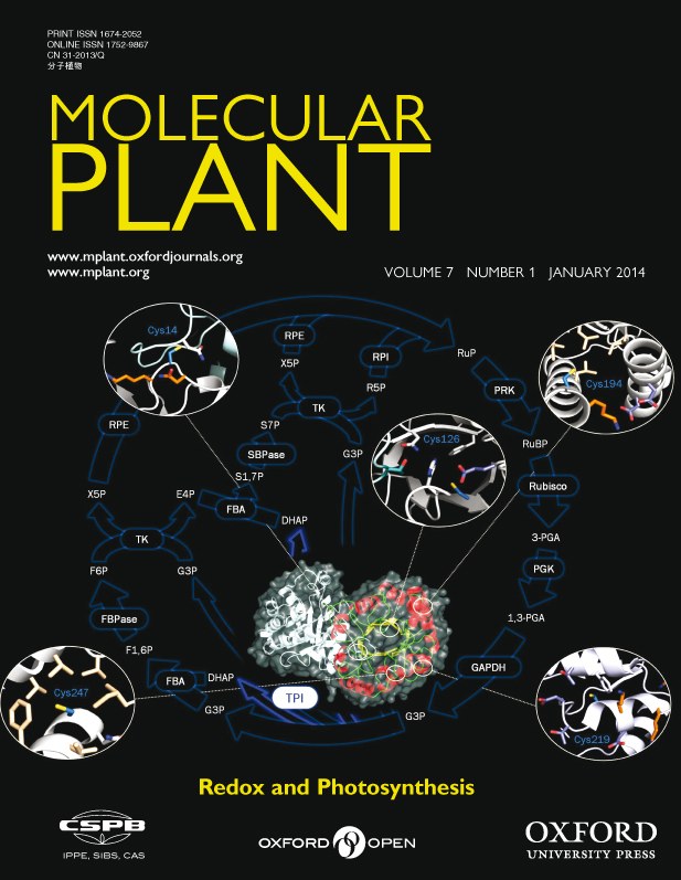 Molecular Plant (2014)