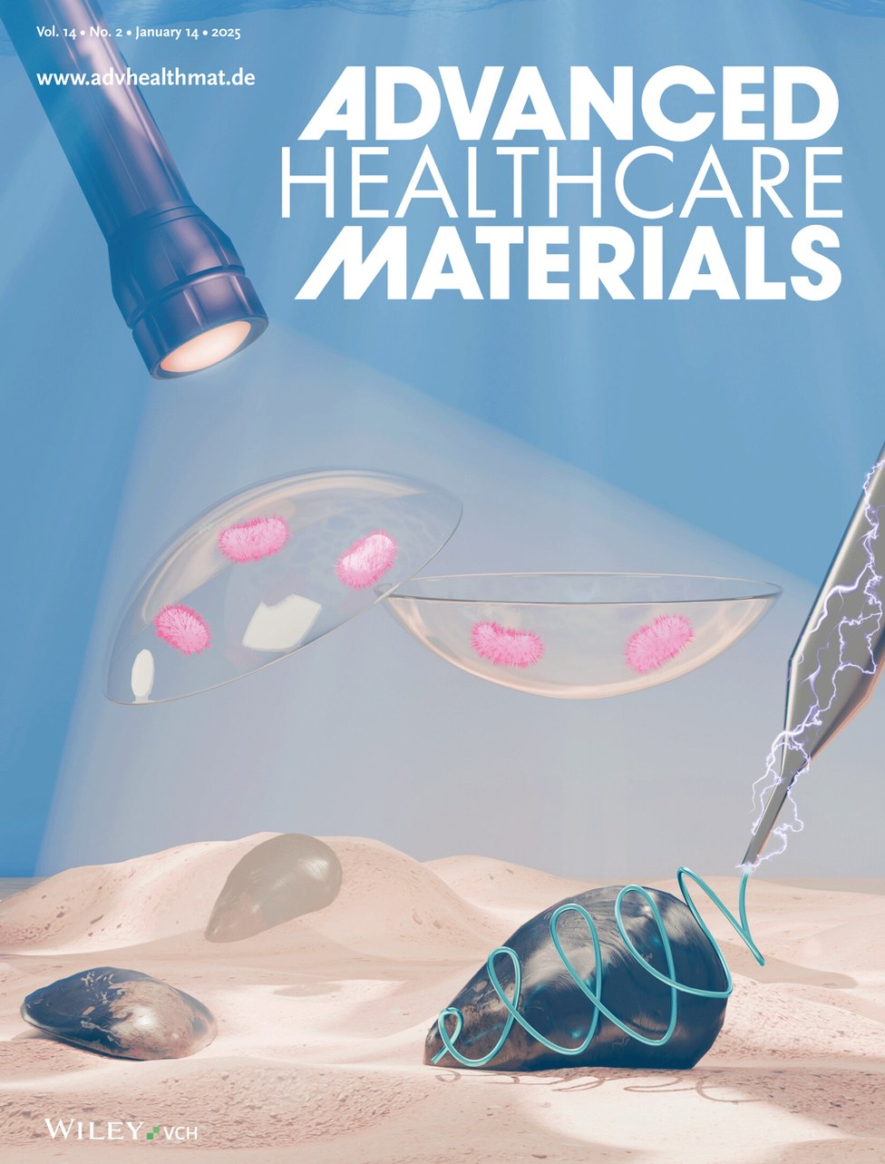 Advanced Helthcare Materials (2024)