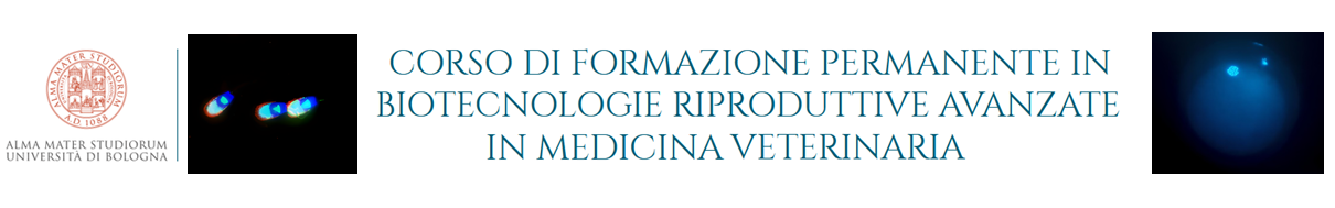 Corso di Formazione Permanente in Biotecnologie Riproduttive Avanzate in Medicina Veterinaria