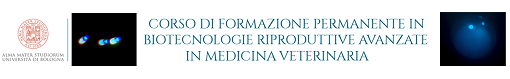 Corso di Formazione Permanente in Biotecnologie Riproduttive Avanzate in Medicina Veterinaria