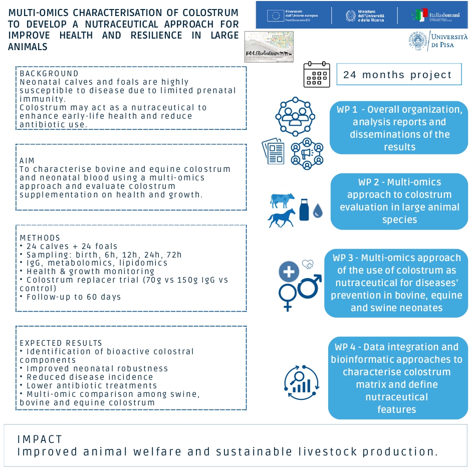 Locandina iniaizle 1