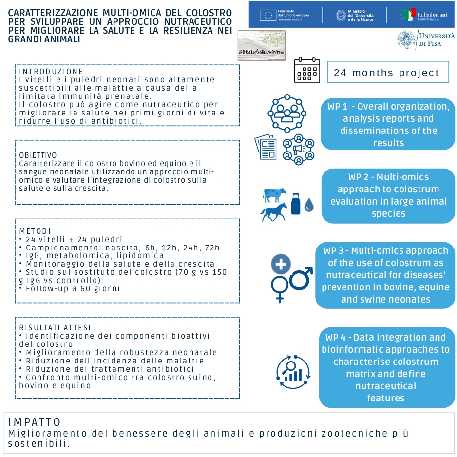 Locandina iniziale 3