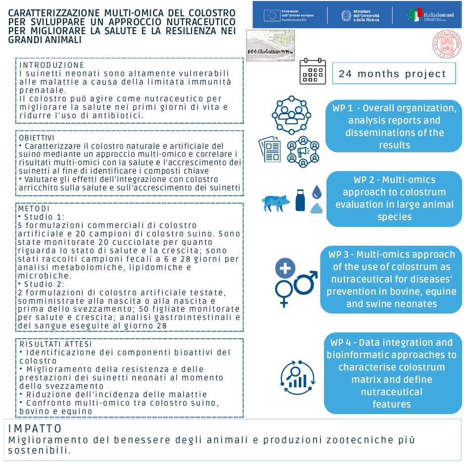 Locandina iniziale 4