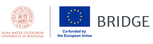 BRIDGE – Building Resilient Institutions for Development in Global Health Education