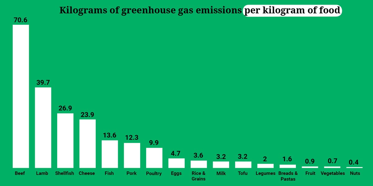 Grafico Emissioni Gas Serra, Alimentazione, Maria Cristina Ianiro, Canadausa
