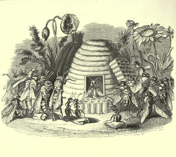 Giulia Regoli scrive di Sylvia Plath e le api su Canadausa