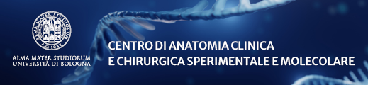 Anatomy Center