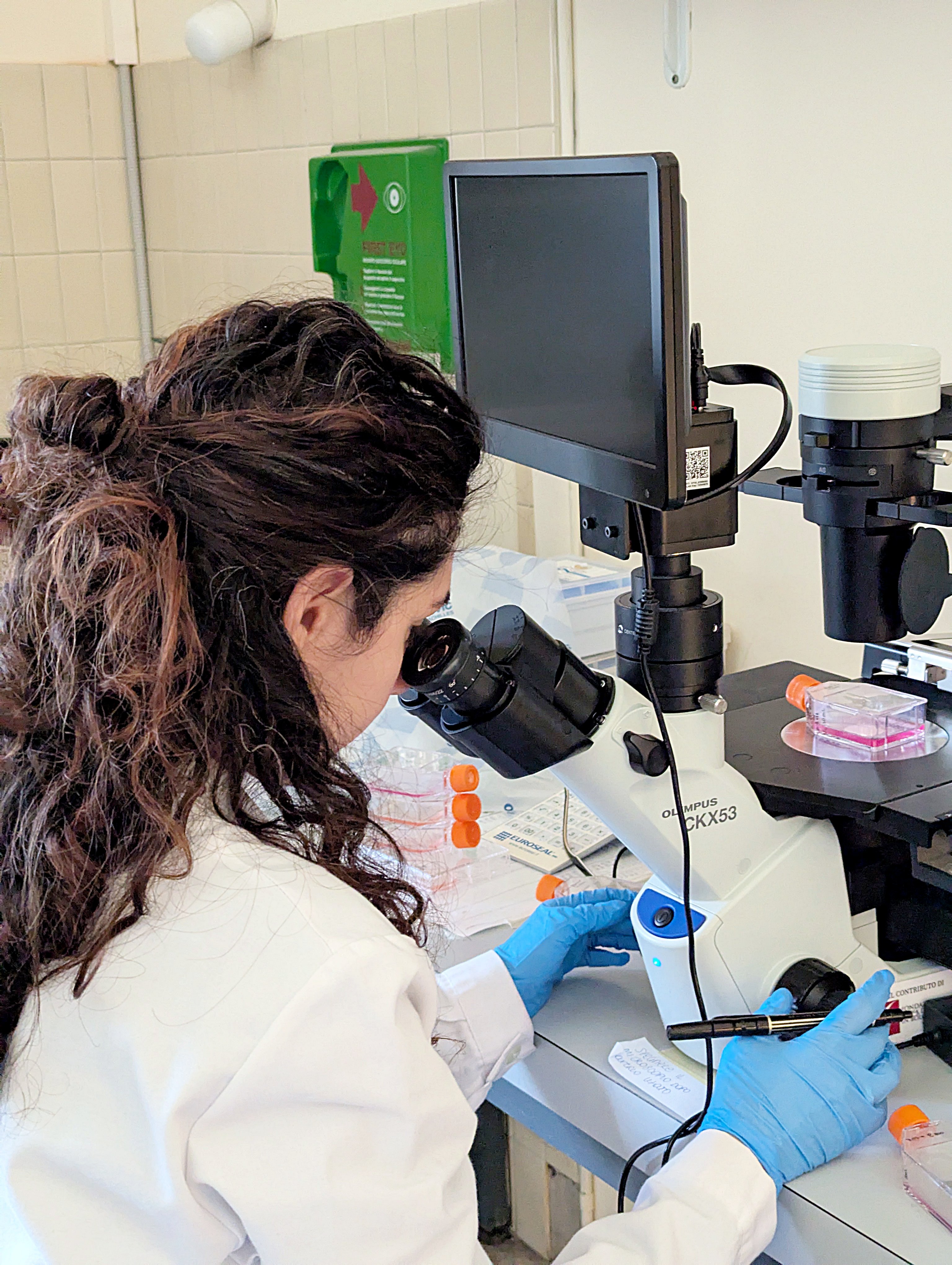 Microscopio Ottico Rovesciato CKX53