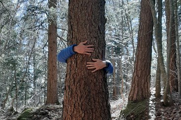 Un uomo abbraccia un albero