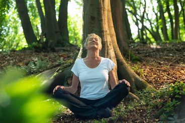 Meditazione nella foresta