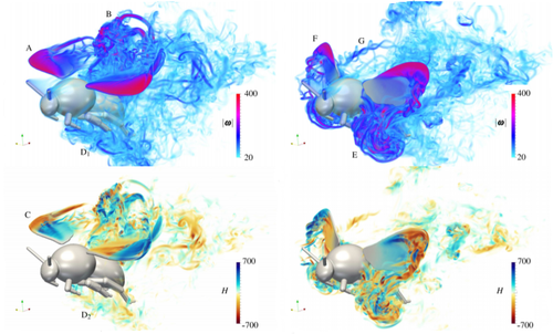 Aerodynamic simulations of a hornet