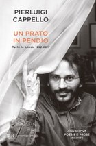 Pierluigi Cappello, Un prato in pendio