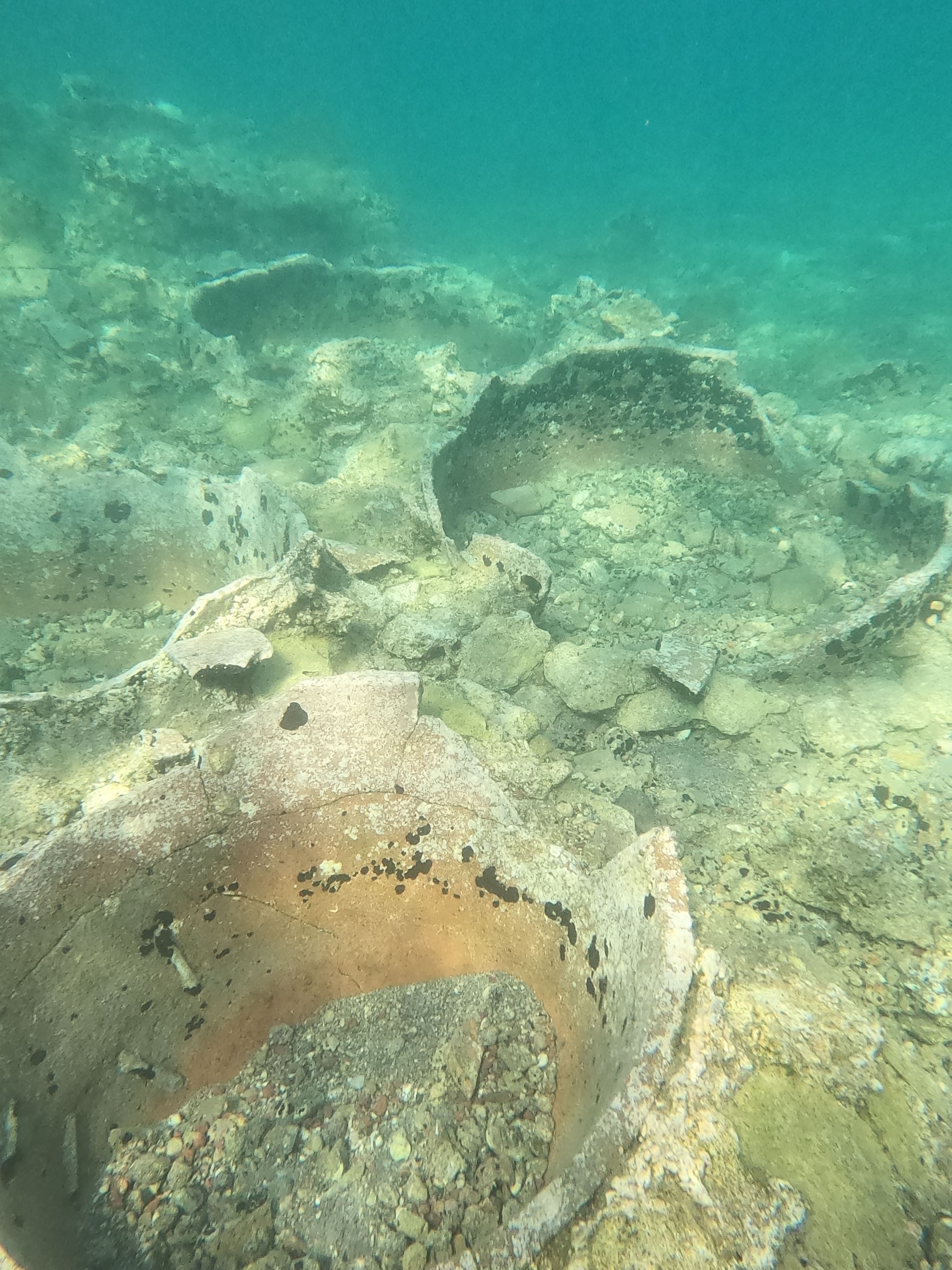 Photo © R. Ferritto. Reproduction Prohibited