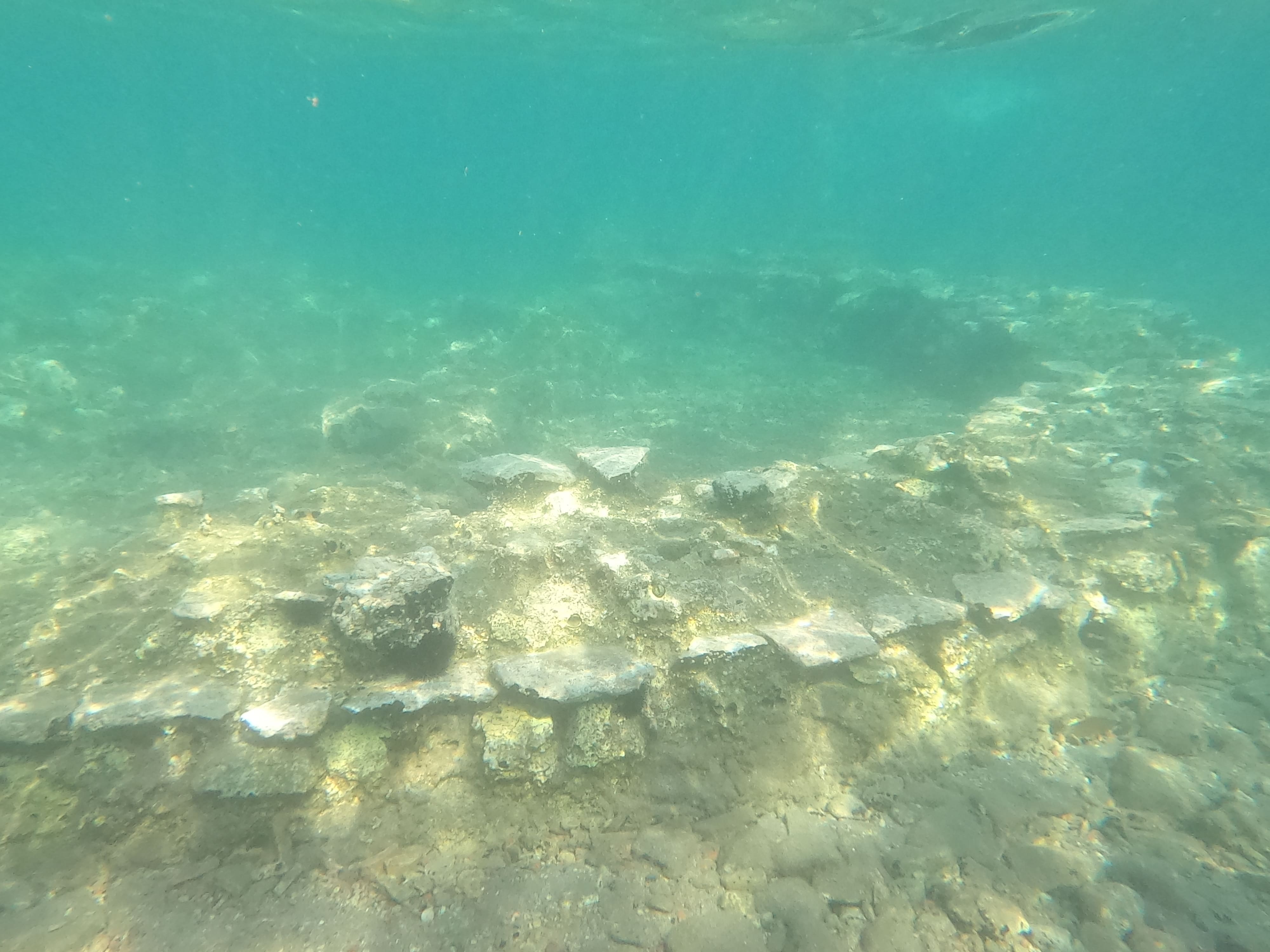 Photo © R. Ferritto. Reproduction Prohibited