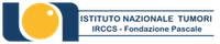 IRCCS Napoli LOGO