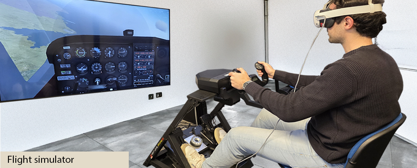 Flight simulator