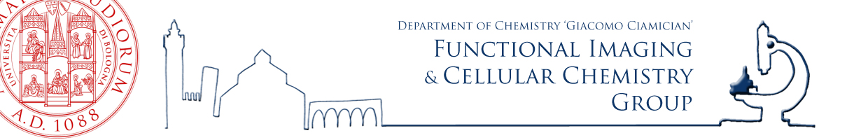 Functional Imaging and Cellular Chemistry