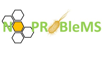 NO_PROBLEMS_logo