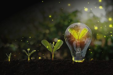 Growing sustainable business ideas - image
