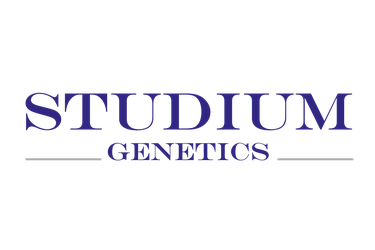 Studium Genetics