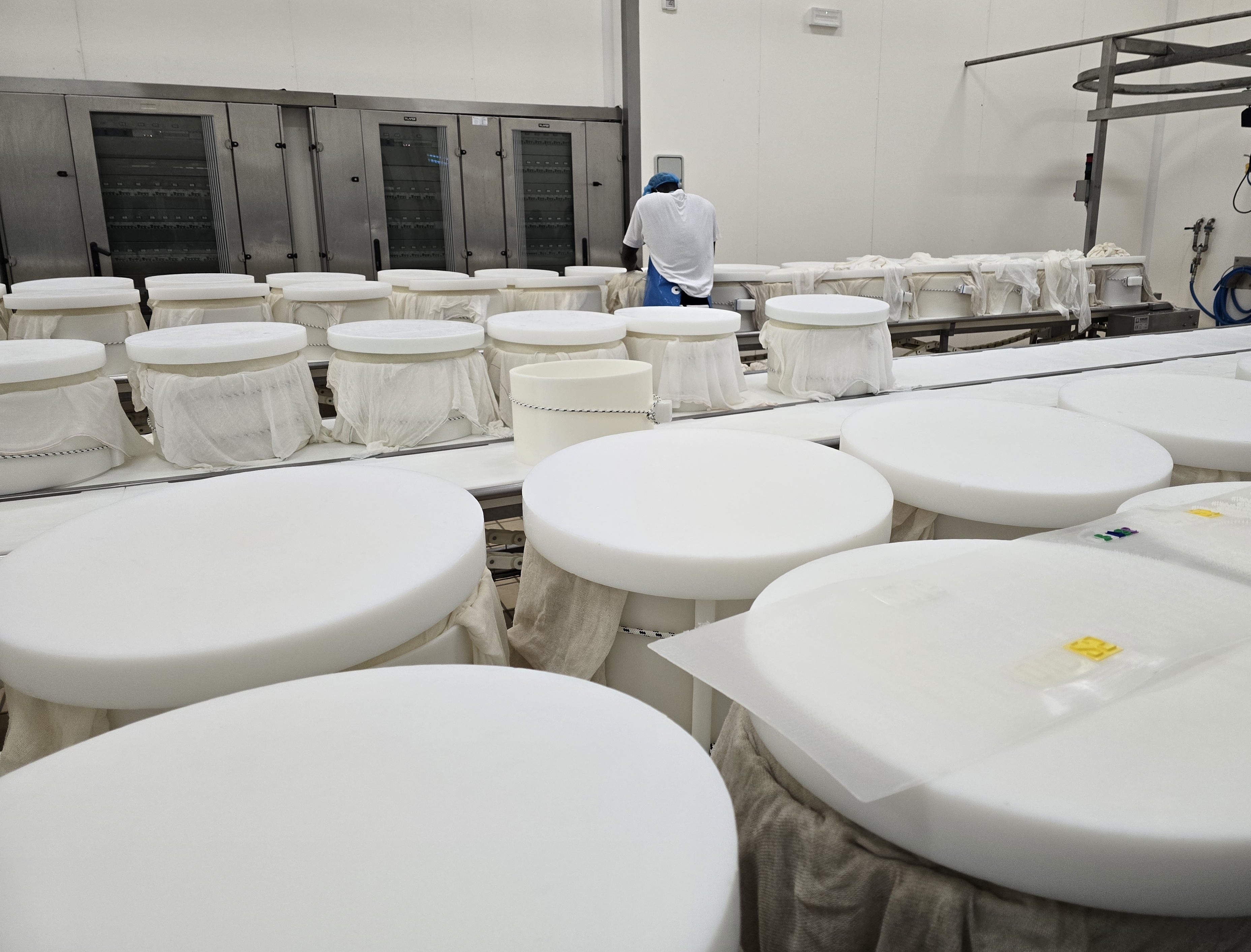 Field Visit - Bio Sant'Anna