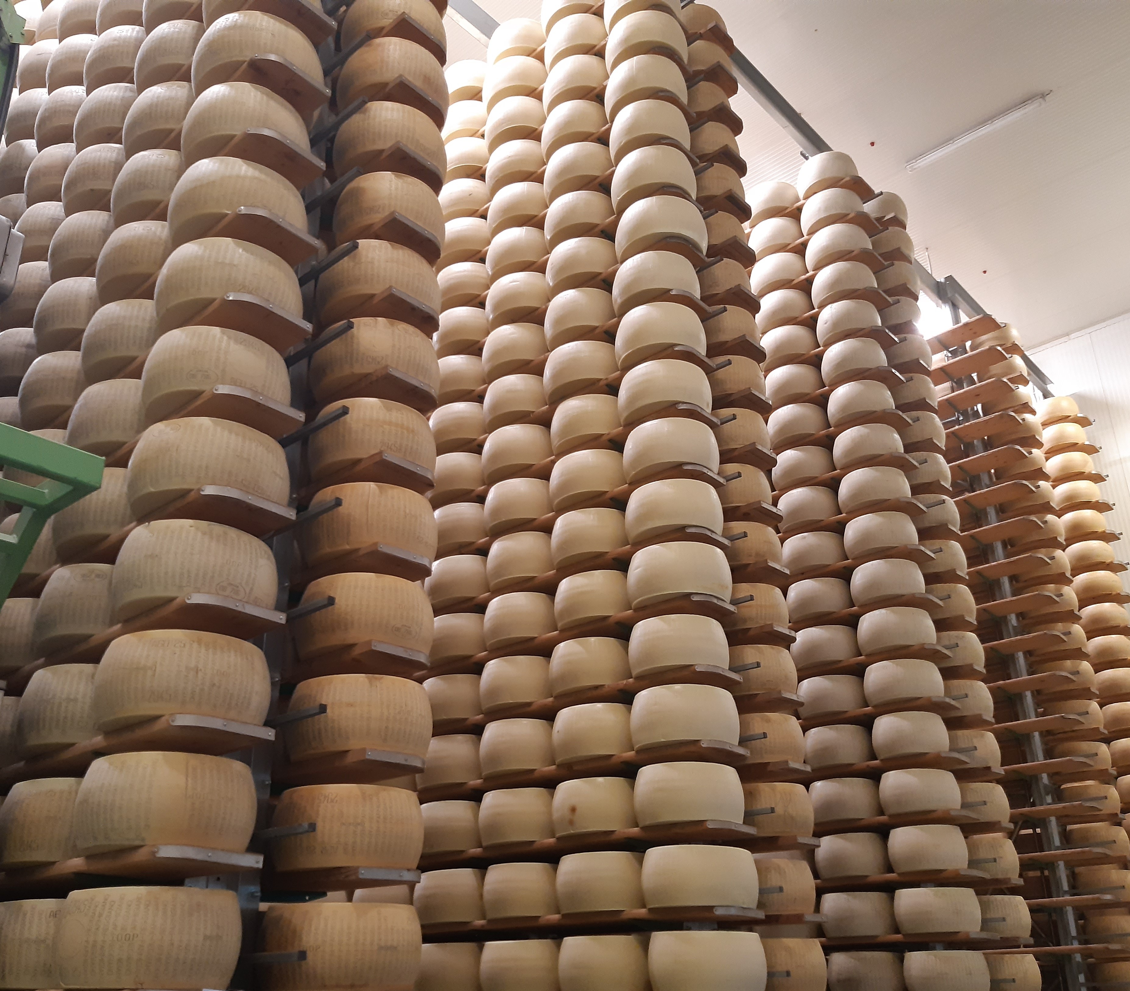 Field Visit - Bio Sant'Anna