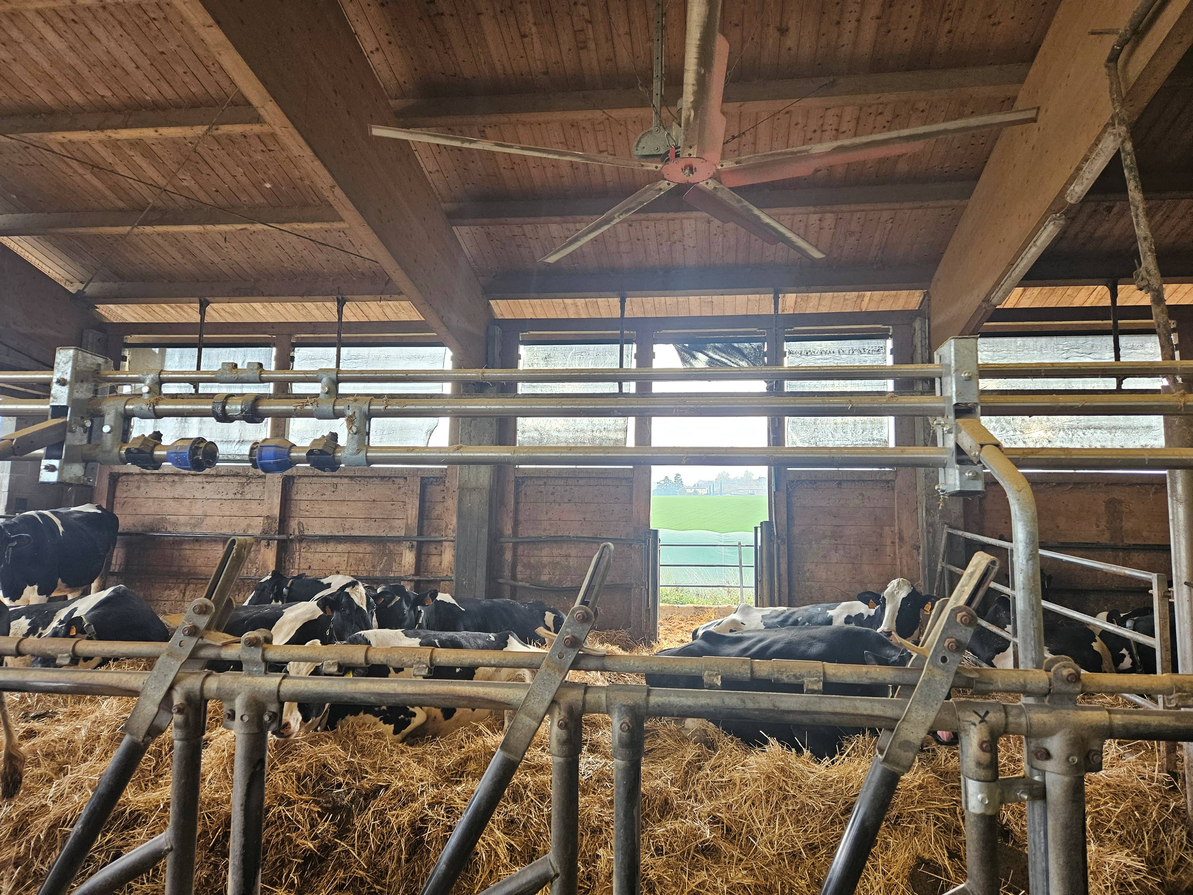 Field Visit - OZZANO