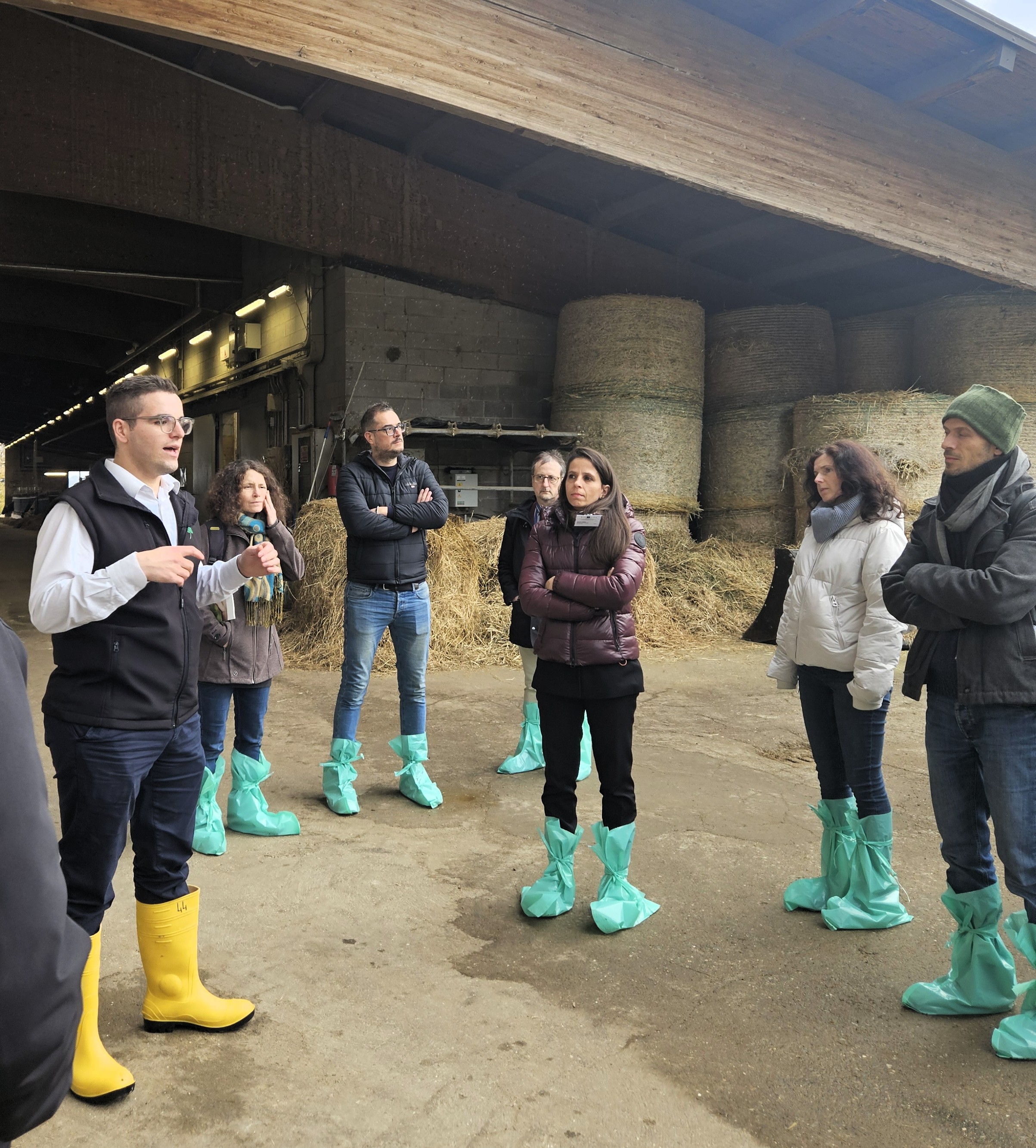 Field Visit - OZZANO