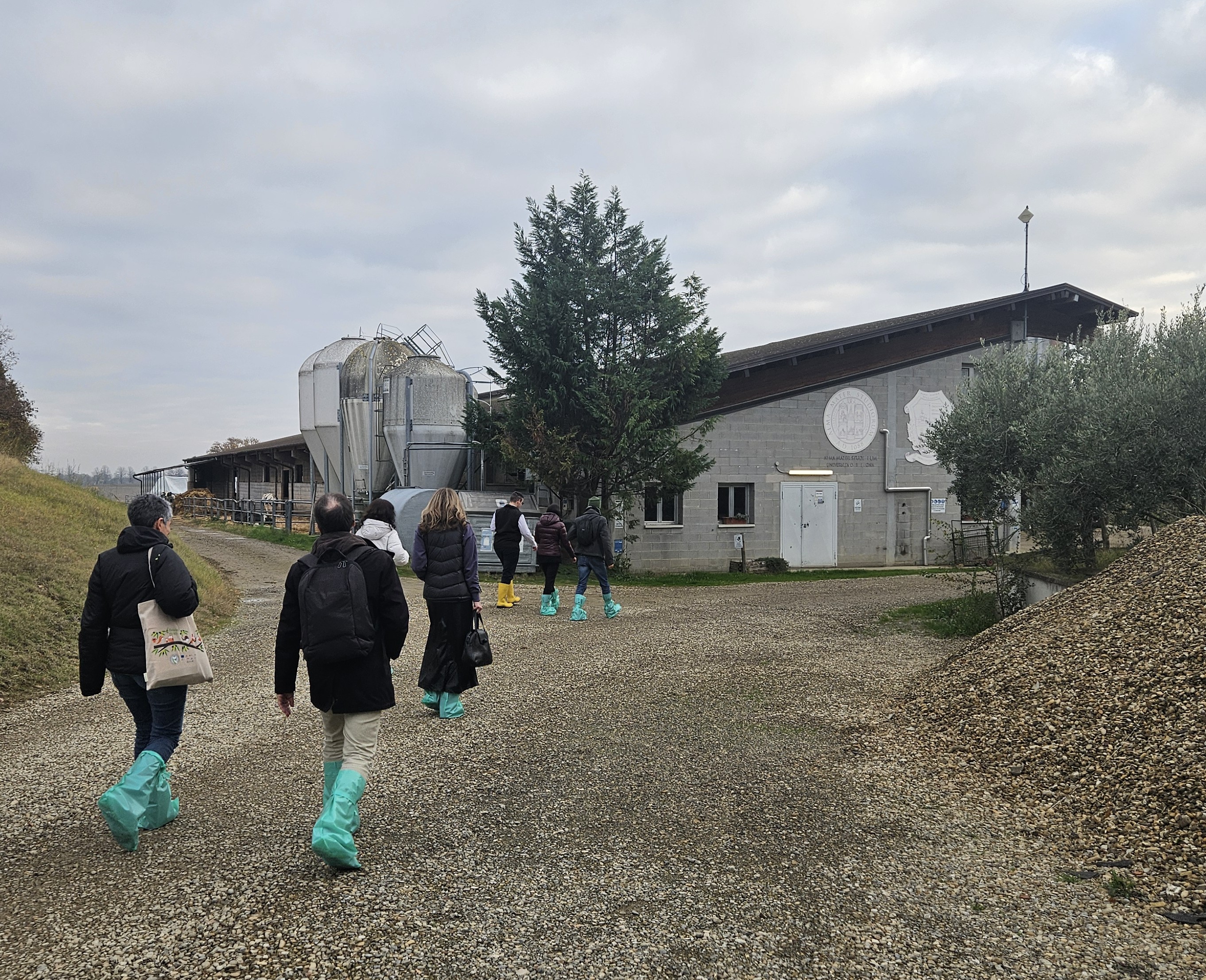 Field Visit - OZZANO