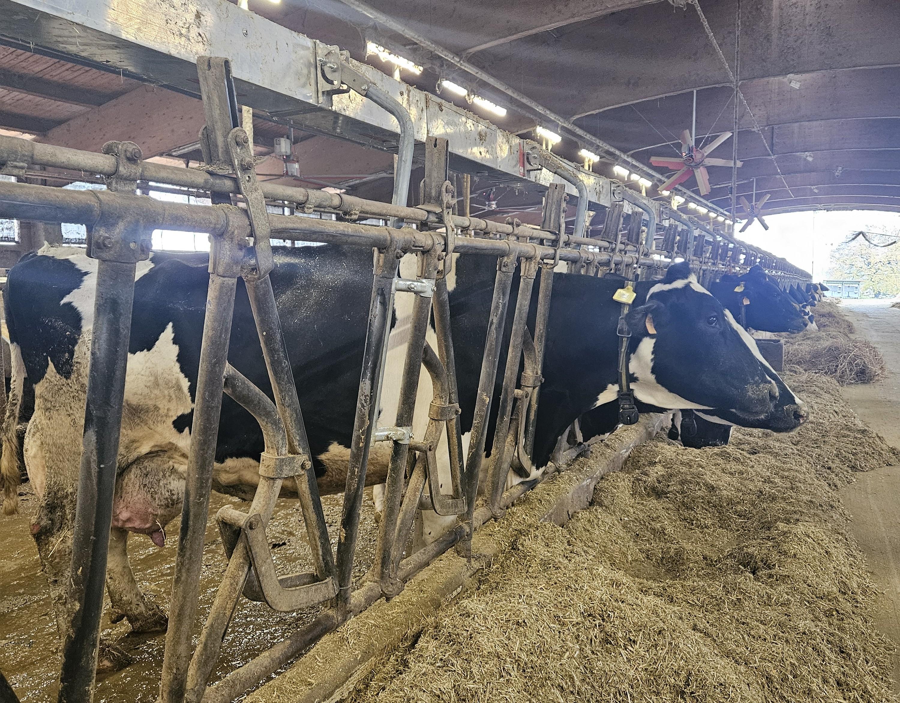 Field Visit - OZZANO